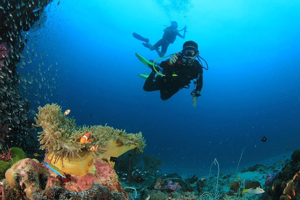 Dive the Similan Islands from Khao Lak