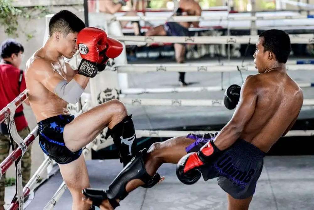 Watch or Train in Muay Thai, Bangkok