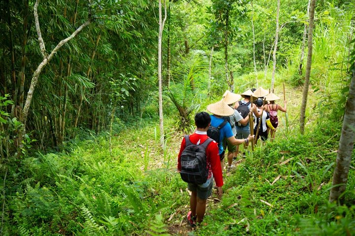 Trek Khao Yai National Park