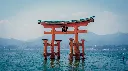 Japan Cherry Blossom Tour Package