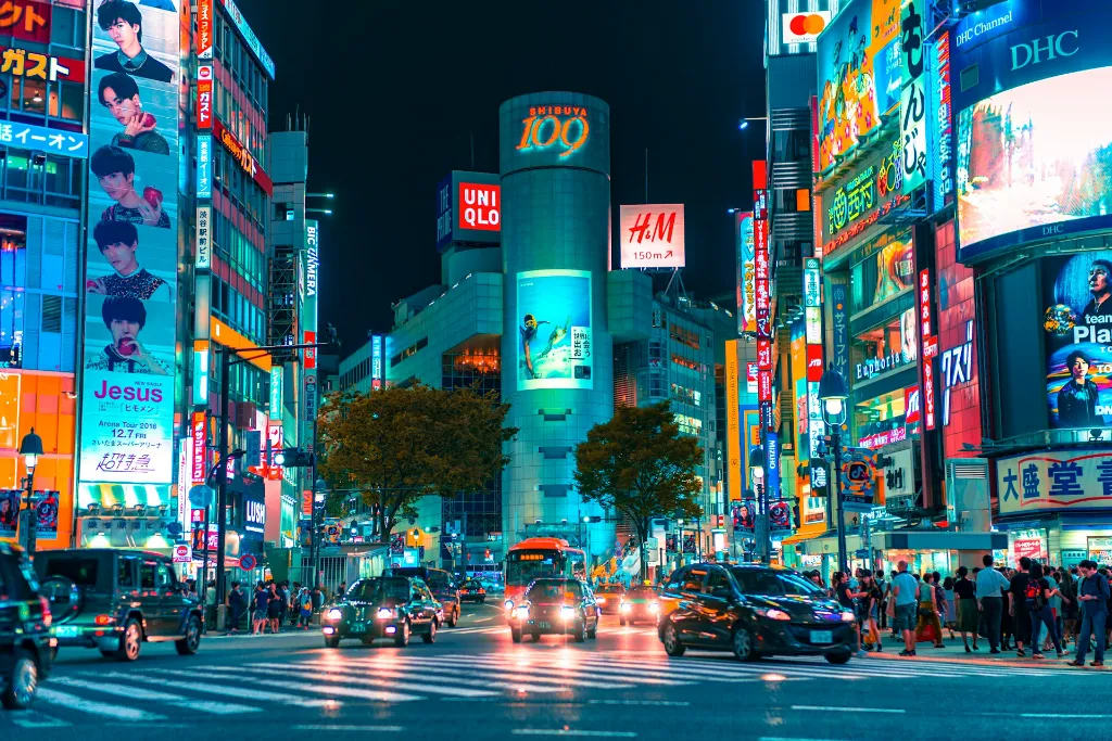 Japan Cherry Blossom Tour Package