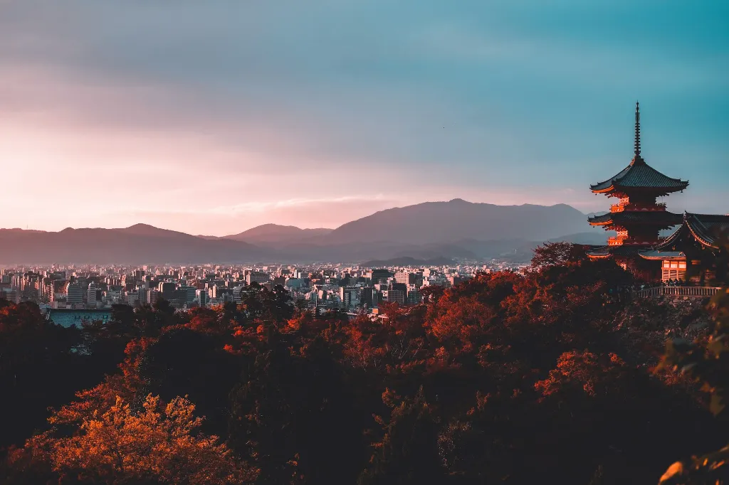 Japan Cherry Blossom Tour Package
