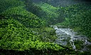 Kerala Tour Package 5 Nights 6 Days Munnar Thekkady Alleppey Kovalam