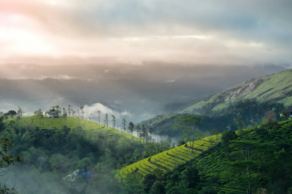 Munnar  Cochin Tour Package
