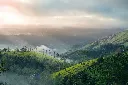 Munnar  Cochin Tour Package