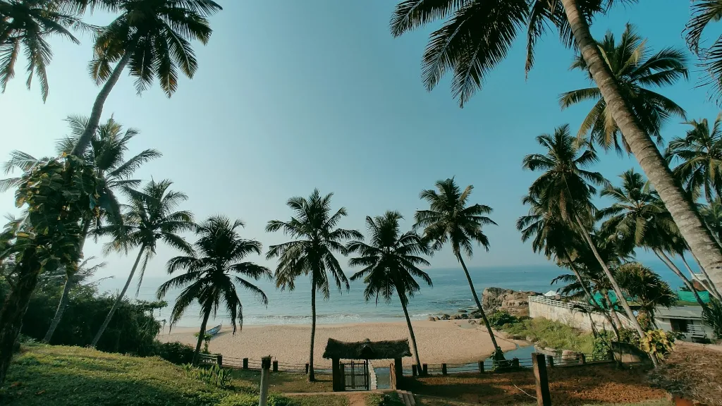 Munnar  Cochin Tour Package