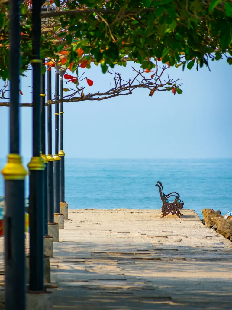 Munnar  Cochin Tour Package