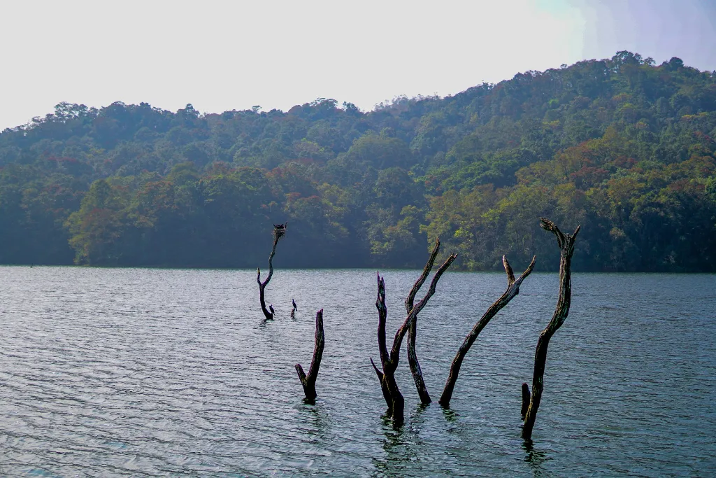 Kerala tour package tag gateaways.webp