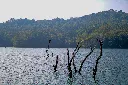 Kerala tour package tag gateaways.webp