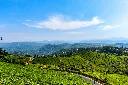 Kerala tour package tag gateaways.webp