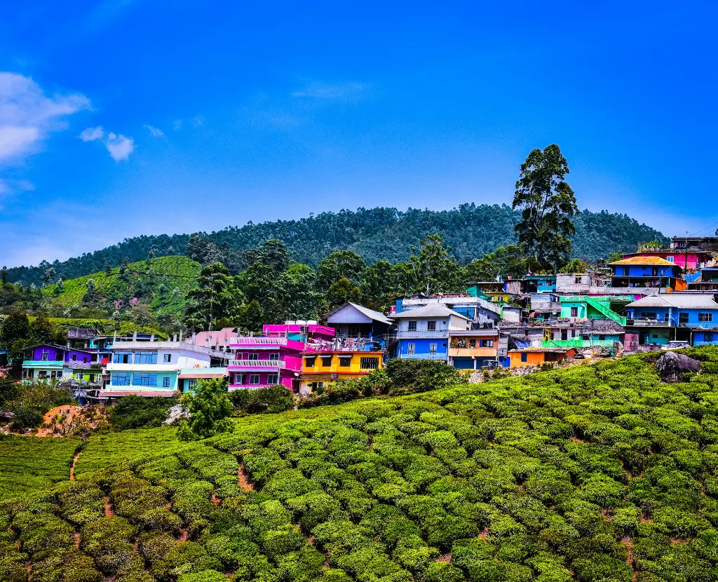 Munnar Kodaikanal Ooty Coimbatore Hill Station Tour