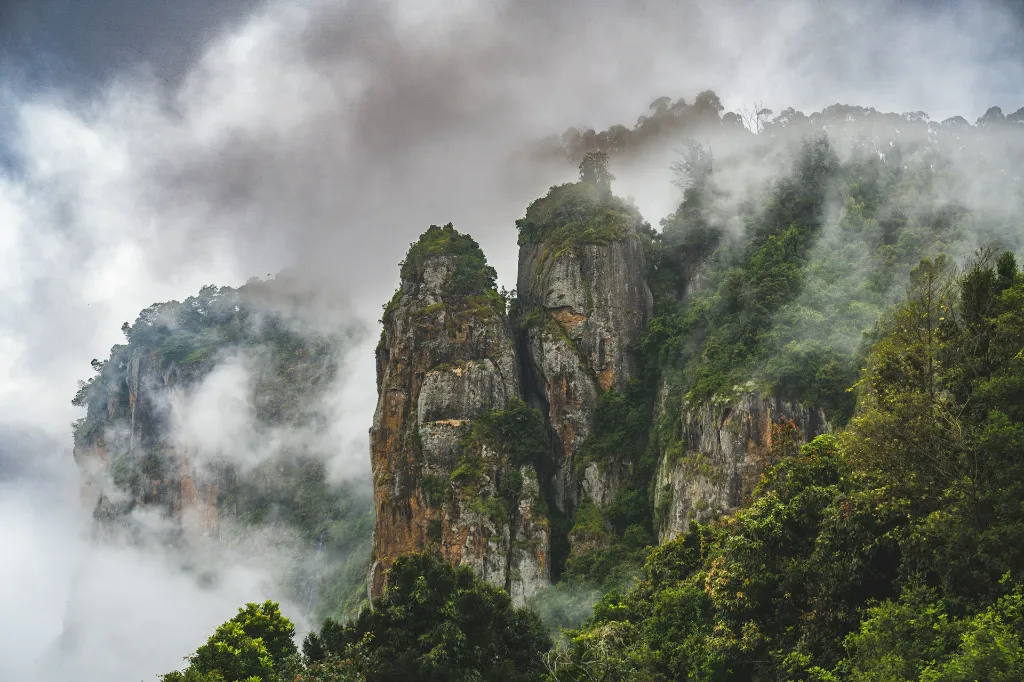 Munnar Kodaikanal Ooty Coimbatore Hill Station Tour