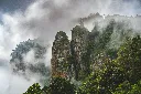 Munnar Kodaikanal Ooty Coimbatore Hill Station Tour