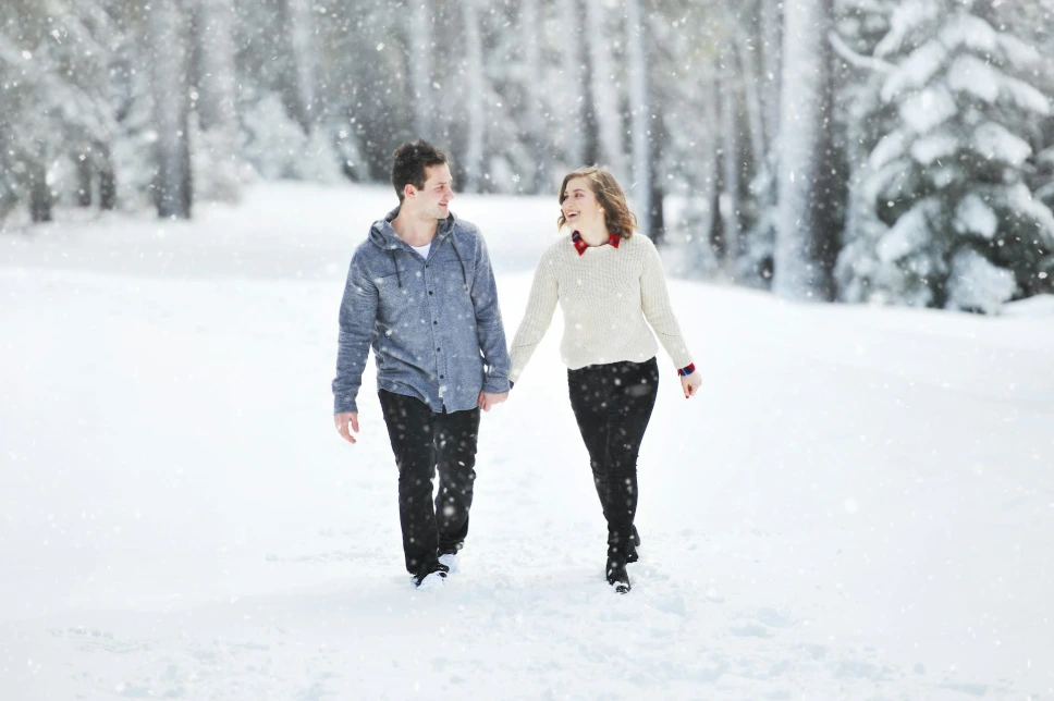 Manali Honeymoon Package From Delhi By Volvo