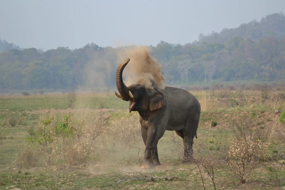 Jim Corbett Nainital Tour Package