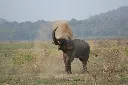Jim Corbett Nainital Tour Package