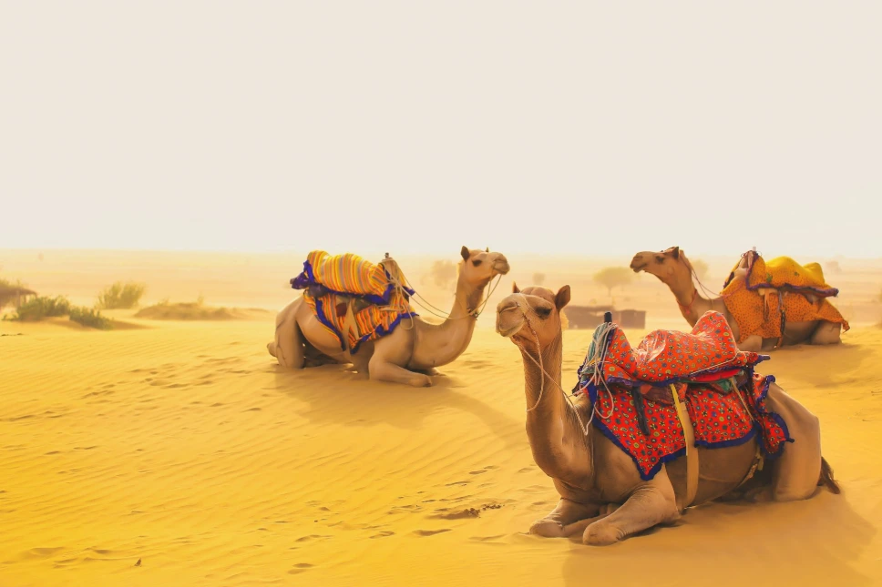 Jaisalmer Tour Package for Couple