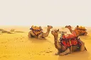 Jaisalmer Tour Package for Couple