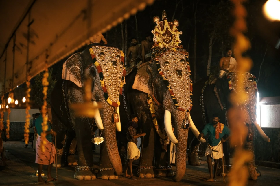 Highlights of Kerala Tour Package