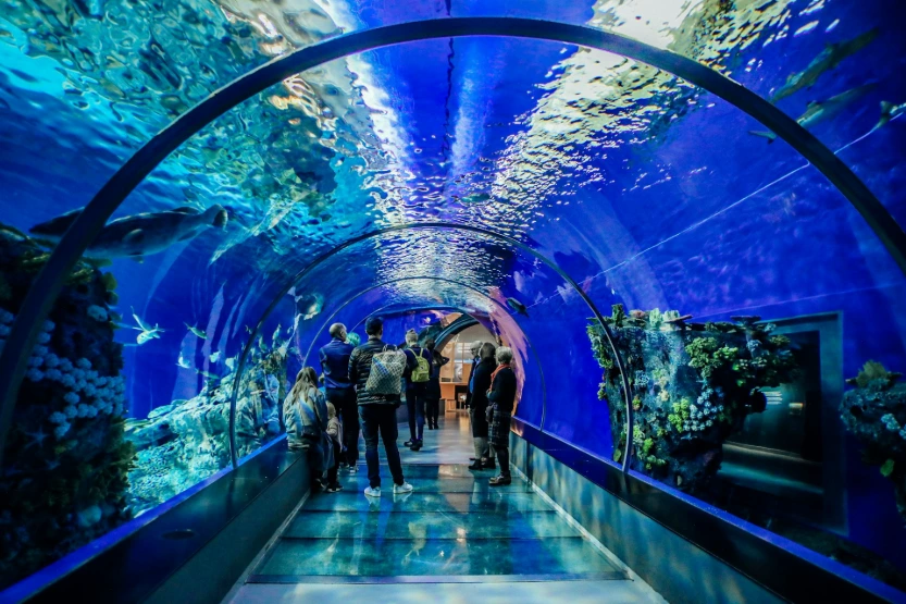 Dubai Escape Tour Package